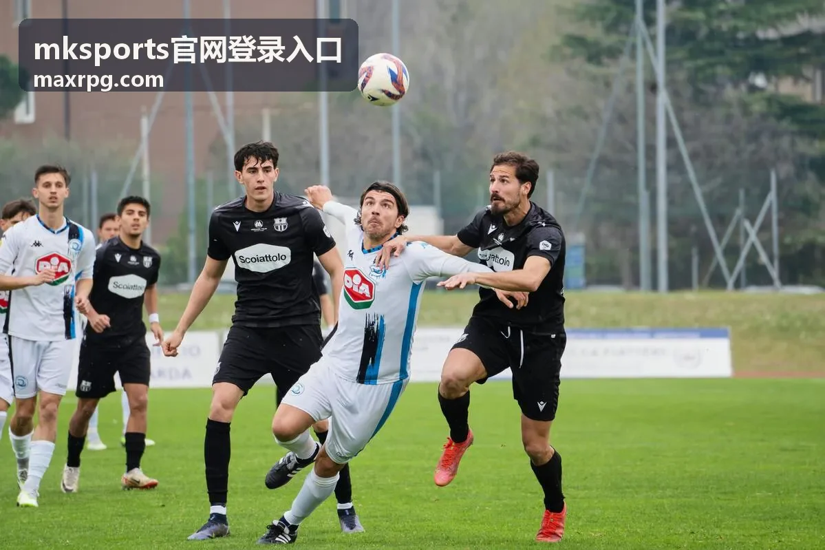 mksports官网登录入口多设备访问场景示意图